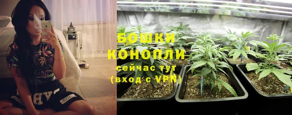 таблы Ельня