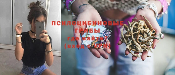 таблы Ельня