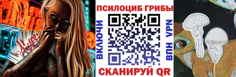 Купить где  Магас  Галлюциногенные грибы Psilocybine cubensis 