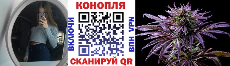 Купить Магас Каннабис марихуана